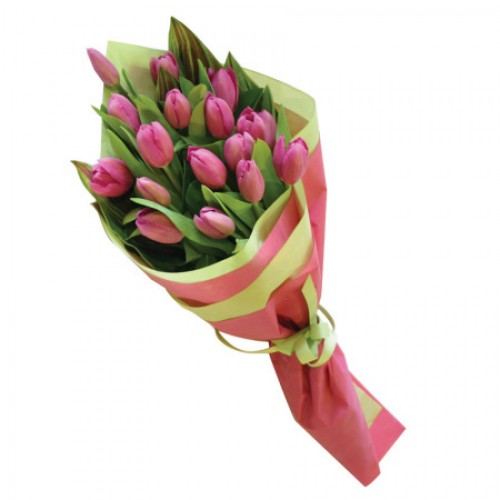 Pink and Green Tulips